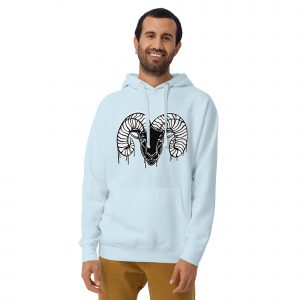 unisex premium hoodie sky blue front